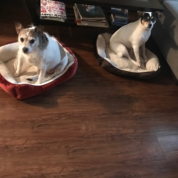 PFACTOR Quality Products @ Bargain Prices - Picture 12 of 12